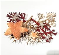 Spilla Misis Donna GORGONIA in Argento Conchiglia SP01760